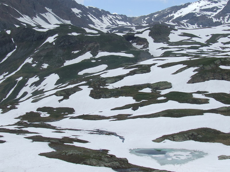 un metro quadrato di  paradiso - parco del gran paradiso